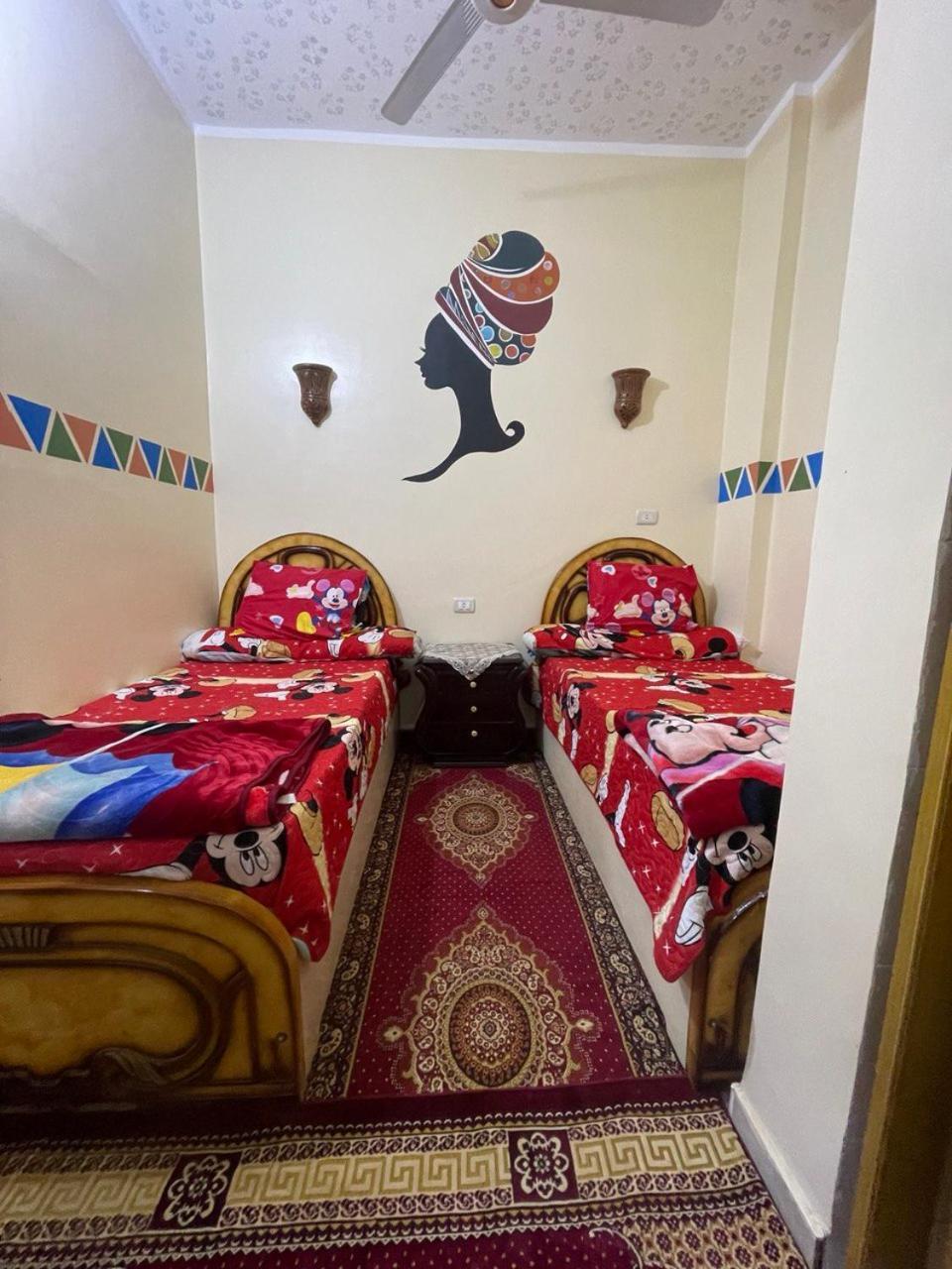 Shater Nubian House Aswan Exterior photo