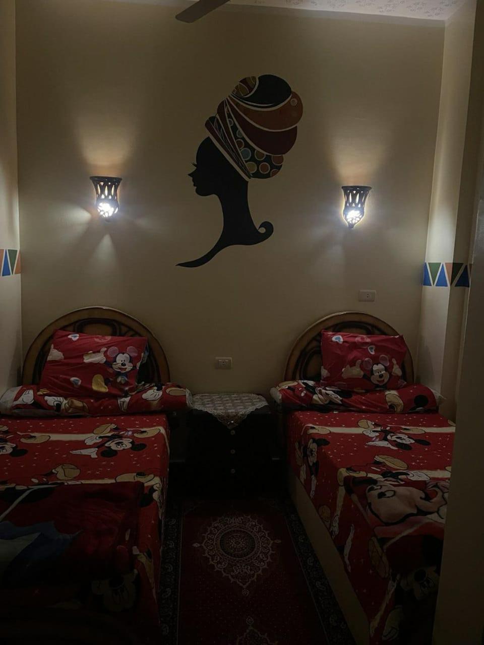 Shater Nubian House Aswan Exterior photo